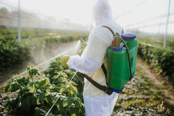 Pest Prevention Services in Cave Spring, VA